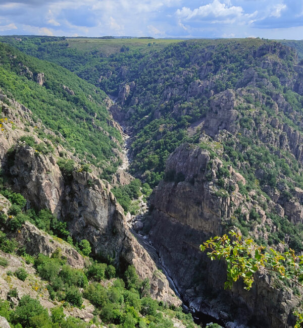 Vue d'ensemble sur un canyon situé en Lozère.