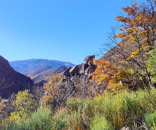 Massif de pierre au beau milieu de la nature automnale.