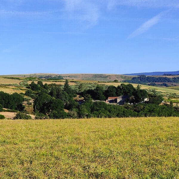 Vue d'ensemble du corps de ferme depuis un pré