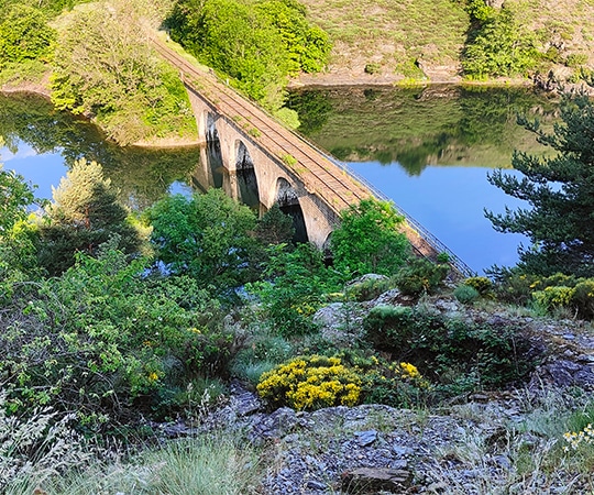 Vue sur un pont ferroviaire qui traverse l'Allier.