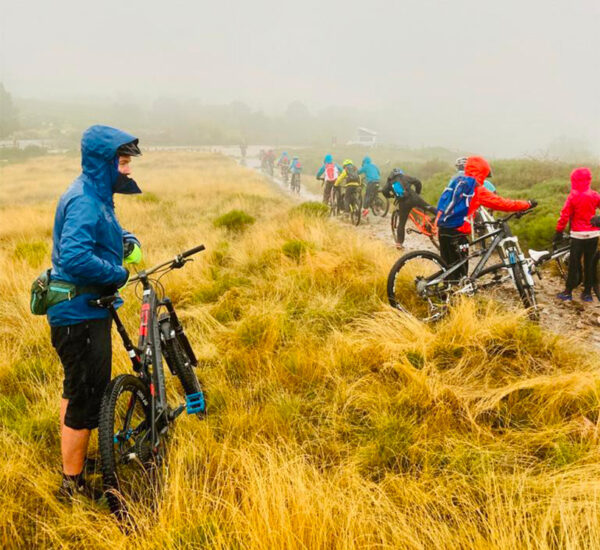 Vetétistes en file indienne par temps de brume